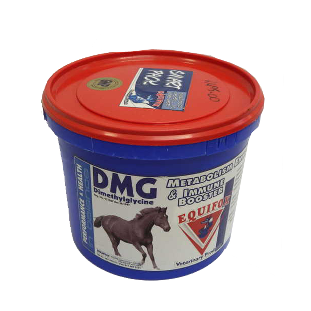 Dmg For Horses